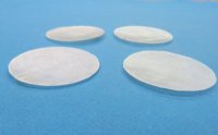 3 inches Capiz Shells in Bulk, Windowpane oyster - 100 @ .34 each 