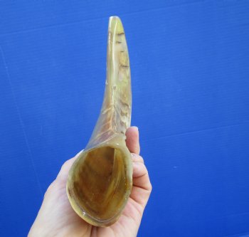 10 inches Polished Ram's Horn Shofar, Sheep Horn Shofar, War Horn -  Buy this one for $14.99