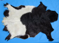 41 by 29 inches Authentic Goat Hide, Goat Skin with Black and White Fur - Buy this one for $44.99