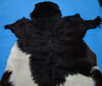 41 by 29 inches Authentic Goat Hide, Goat Skin with Black and White Fur - Buy this one for $44.99