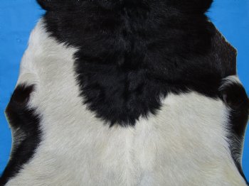 41 by 29 inches Authentic Goat Hide, Goat Skin with Black and White Fur - Buy this one for $44.99