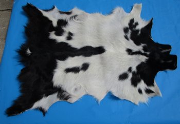 40 by 31 inches Authentic Goat Hide, Black and White Pattern for $44.99