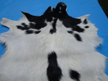 40 by 31 inches Authentic Goat Hide, Black and White Pattern for $44.99