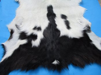 40 by 31 inches Authentic Goat Hide, Black and White Pattern for $44.99