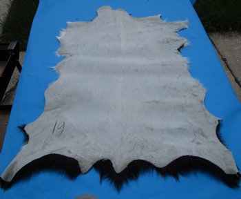 40 by 31 inches Authentic Goat Hide, Black and White Pattern for $44.99