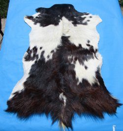 38 by 26 inches Authentic Goat Hide, Rusty Black and White Fur Pattern for $44.99