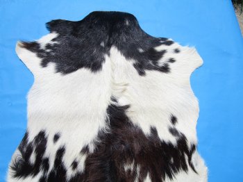 38 by 26 inches Authentic Goat Hide, Rusty Black and White Fur Pattern for $44.99