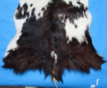 38 by 26 inches Authentic Goat Hide, Rusty Black and White Fur Pattern for $44.99