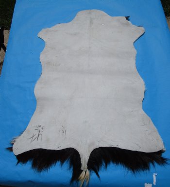 38 by 26 inches Authentic Goat Hide, Rusty Black and White Fur Pattern for $44.99