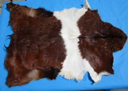 44 by 33 inches Authentic Goat Hide, Rust and Whtie Fur Pattern for $44.99