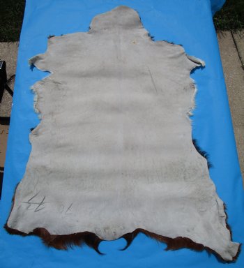 44 by 33 inches Authentic Goat Hide, Rust and Whtie Fur Pattern for $44.99