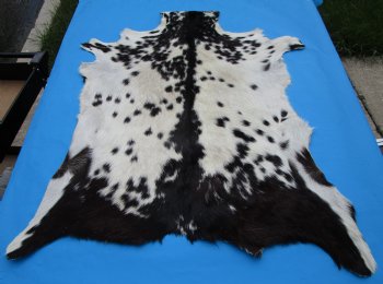 38 by 29-1/2 inches Authentic Goat Hide, Goat Skin with Black and White Fur - Buy this one for $44.99