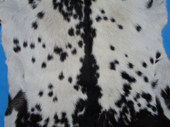 38 by 29-1/2 inches Authentic Goat Hide, Goat Skin with Black and White Fur - Buy this one for $44.99