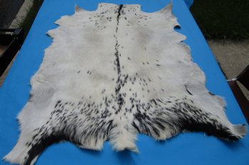 27-1/2 by 29-1/2 inches Authentic Goat Hide, Goat Skin with White Fur with Black Spots - Buy this one for $44.99