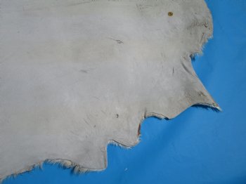 41 by 32-1/2 inches Authentic Goat Hide, Goat Skin with Rust and White Colored Fur - Buy this one for $44.99