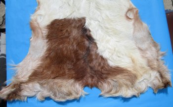 45 by 34 inches Authentic Goat Hide, Goat Skin with Rust and White Colored Fur - Buy this one for $44.99