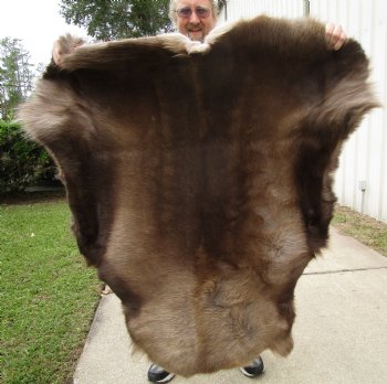 Finland Reindeer Hide With Fur, Without Legs,48 x 43 Inches - Buy this one for $99.99