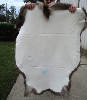 Finland Reindeer Hide With Fur, Without Legs,48 x 43 Inches - Buy this one for $99.99