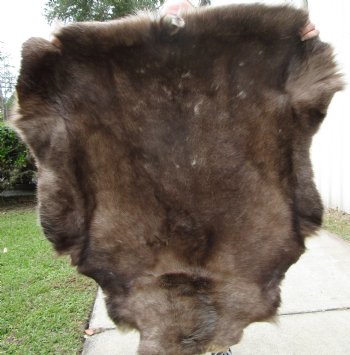 Finland Reindeer Skin With Fur, Without Legs, 46 X 42 Inches - Buy this one for $99.99