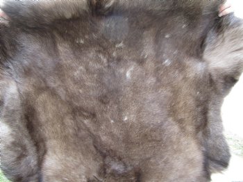 Finland Reindeer Skin With Fur, Without Legs, 46 X 42 Inches - Buy this one for $99.99