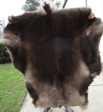 Finland Reindeer Skin With Fur, Without Legs, 42 X 42 Inches - Buy this one for $99.99