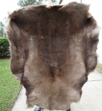 Finland Reindeer Hide With Fur, Without Legs,48 x 43 Inches - Buy this one for $99.99