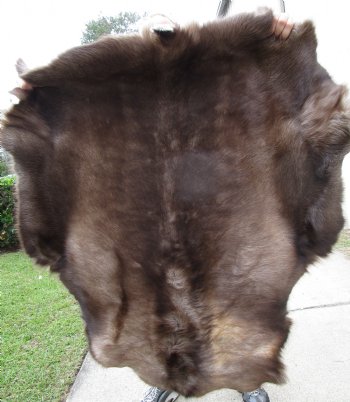 Finland Reindeer Hide With Fur, Without Legs, 46 X 41 Inches - Buy this one for $99.99