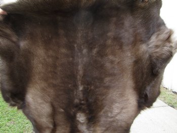 Finland Reindeer Hide With Fur, Without Legs, 46 X 41 Inches - Buy this one for $99.99