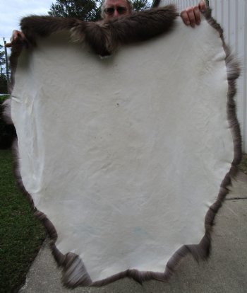 Finland Reindeer Hide With Fur, Without Legs, 46 X 41 Inches - Buy this one for $99.99