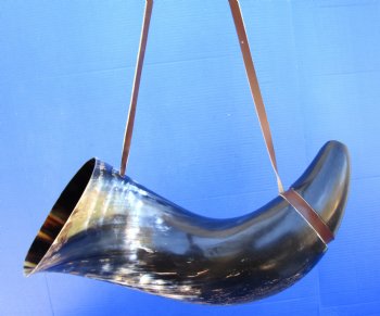 24 inches Extra Large Blowing Horn, Viking War Horn with Leather Shoulder Strap for $39.99