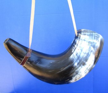 24 inches Extra Large Blowing Horn, Viking War Horn with Leather Shoulder Strap for $39.99