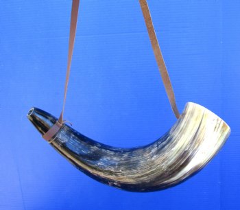 19 inches Large Viking War Horn, Buffalo Blowing Horn with Leather Strap - Buy this one for $32.99