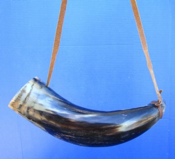 18-1/2 inches Large Viking War Horn, Buffalo Blowing Horn with Leather Strap - Buy this one for $32.99