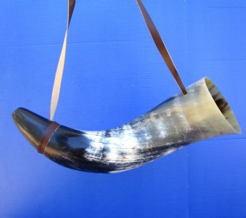 21 inches Large Viking War Horn, Buffalo Blowing Horn with Leather Strap - Buy this one for $32.99