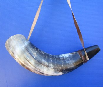 21 inches Large Viking War Horn, Buffalo Blowing Horn with Leather Strap - Buy this one for $32.99