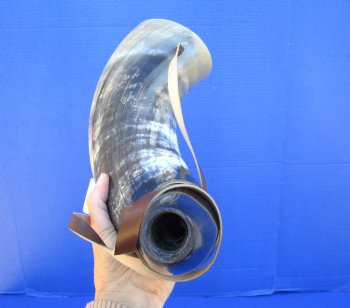 21 inches Large Viking War Horn, Buffalo Blowing Horn with Leather Strap - Buy this one for $32.99