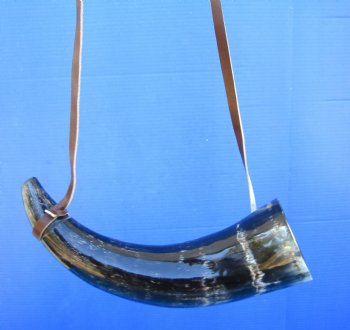 13-1/2 inches Blowing Horn, Viking War Horn with Leather Shoulder Strap for $19.99, 