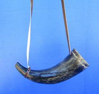 13-1/2 inches Blowing Horn, Viking War Horn with Leather Shoulder Strap for $19.99, 