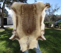 Light Reindeer Hide, Skin, Fur 47 by 42 inches for $149.99