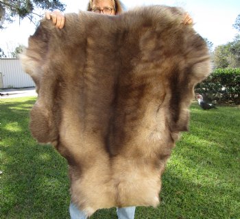 Reindeer Hide, Skin, Without Legs, 42 by 38 Inches - Buy this one for $99.99