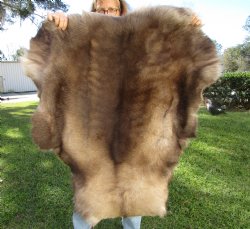 Reindeer Hide, Skin...