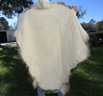 Reindeer Hide, Skin, Without Legs, 42 by 38 Inches - Buy this one for $99.99