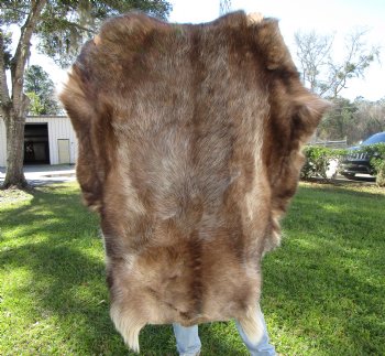 Reindeer Hide, Skin, Without Legs, 46 by 42 Inches - Buy this one for $99.99