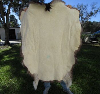 Reindeer Hide, Skin, Without Legs, 46 by 42 Inches - Buy this one for $99.99