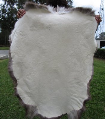 Finland Reindeer Hide, Skin, Without Legs, 46 by 37 Inches - Buy this one for $99.99