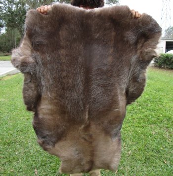 Reindeer Hide, Skin, Without Legs, 47 by 40 Inches - Buy this one for $99.99