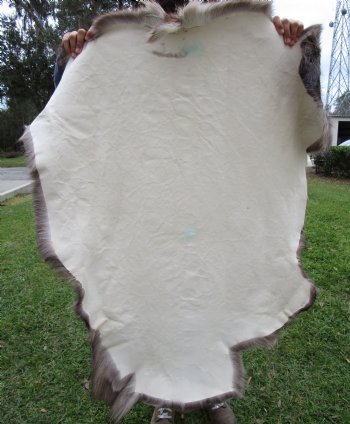 Reindeer Hide, Skin, Without Legs, 47 by 40 Inches - Buy this one for $99.99