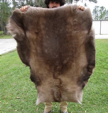 Reindeer Hide, Skin, Without Legs, 46 x 40 Inches - Buy this one for $99.99