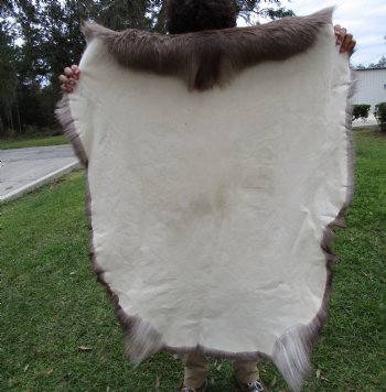 Reindeer Hide, Skin, Without Legs, 46 x 40 Inches - Buy this one for $99.99