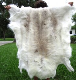 White Finland Reindeer Hide, Skin, Fur with Blend of Whites, Grays and Tans 42 by 41 inches for $149.99